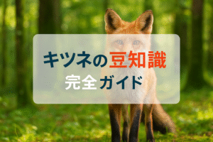 キツネの豆知識完全ガイド