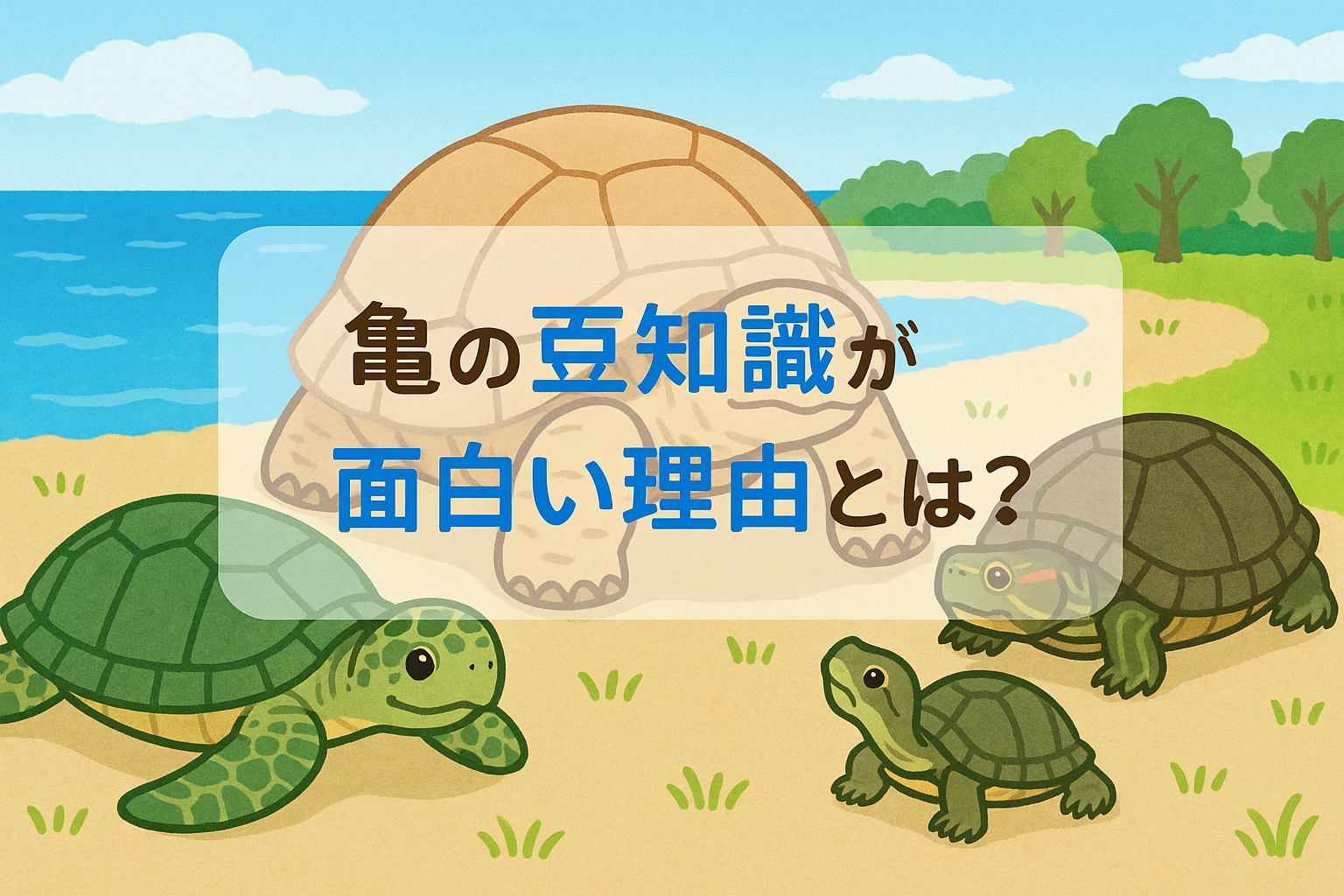 亀の豆知識が面白い理由とは