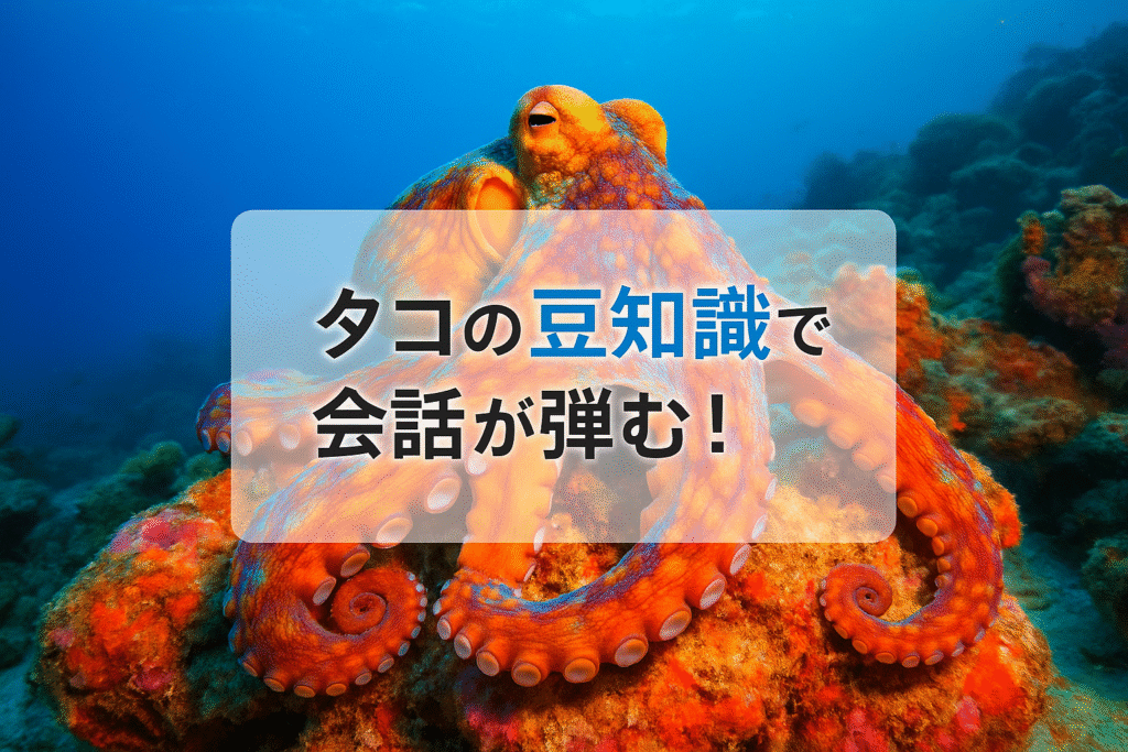 タコの豆知識知っていますか