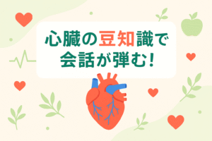 絶対に話したくなる心臓の豆知識