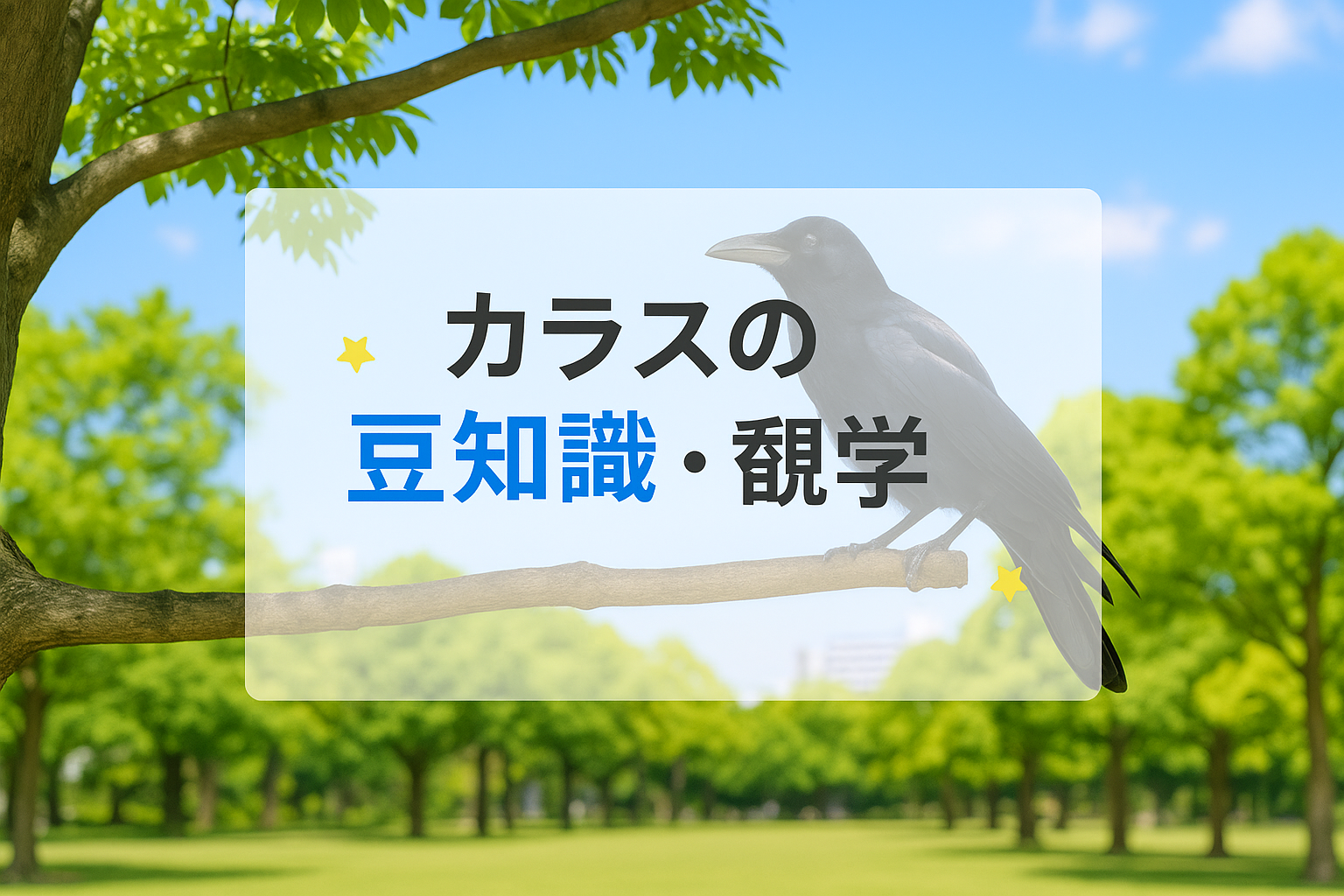 カラスの豆知識と雑学で知る驚きの生態