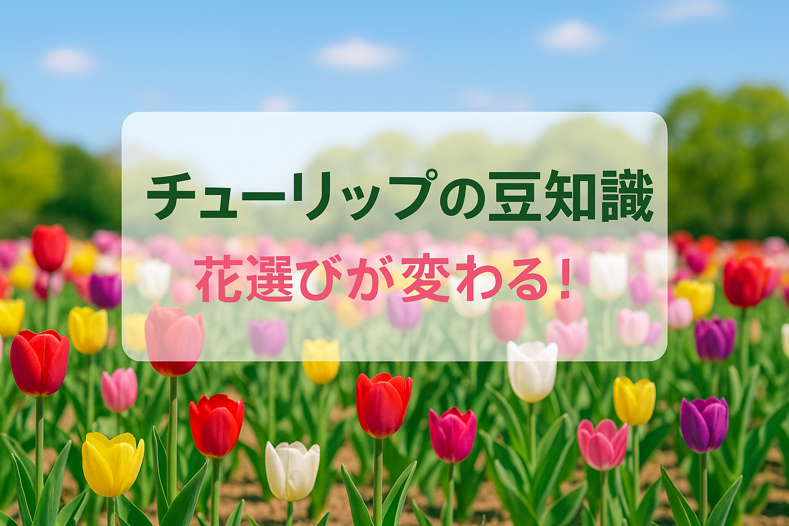 チューリップの豆知識