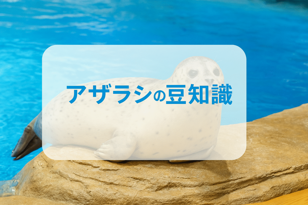 アザラシの豆知識：驚きの生態と雑学