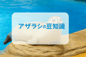 アザラシの豆知識：驚きの生態と雑学