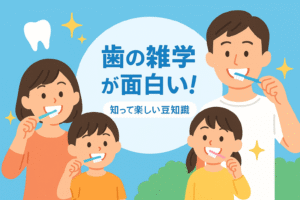 歯の雑学が面白い！