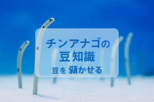 チンアナゴの豆知識