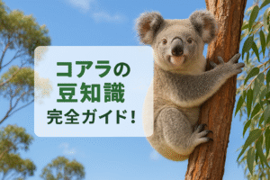 コアラの豆知識完全ガイド