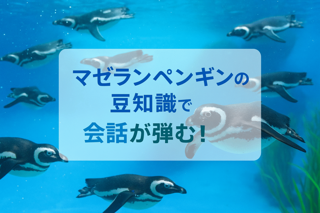 マゼランペンギンの豆知識で会話が活気づく！