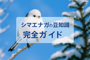 シマエナガの豆知識完全ガイド