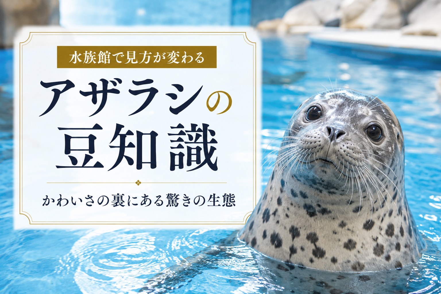 アザラシの豆知識:驚きの生態と雑学