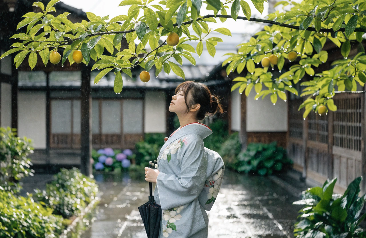 柔らかな初夏の雨上がり、薄い曇り空から淡い光が差し込む中庭。