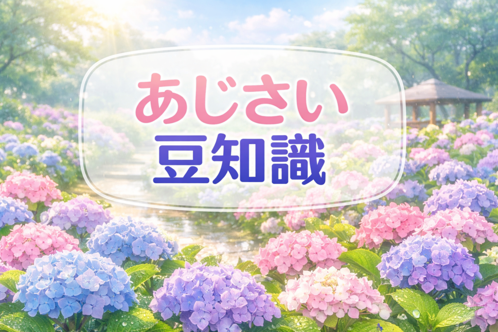 梅雨の花の代表あじさいの豆知識