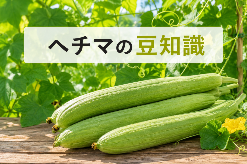 ヘチマの豆知識