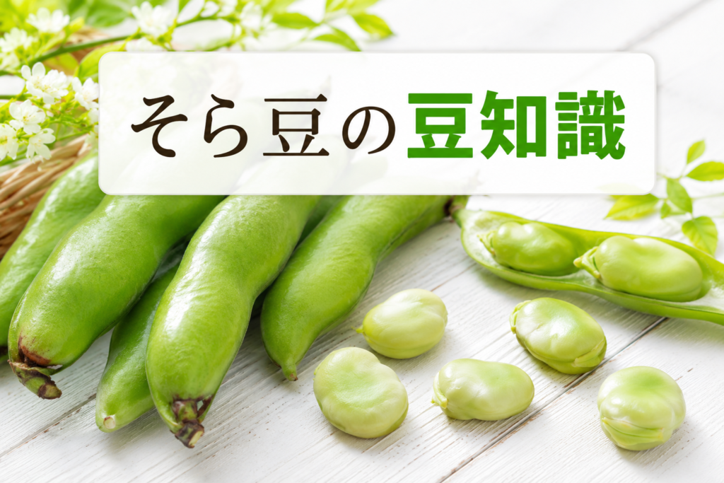 春の柔らかい自然光の中、白い木目調のテーブルの上に鮮やかな緑色のそら豆のさやが複数ナチュラルに並んでいる。