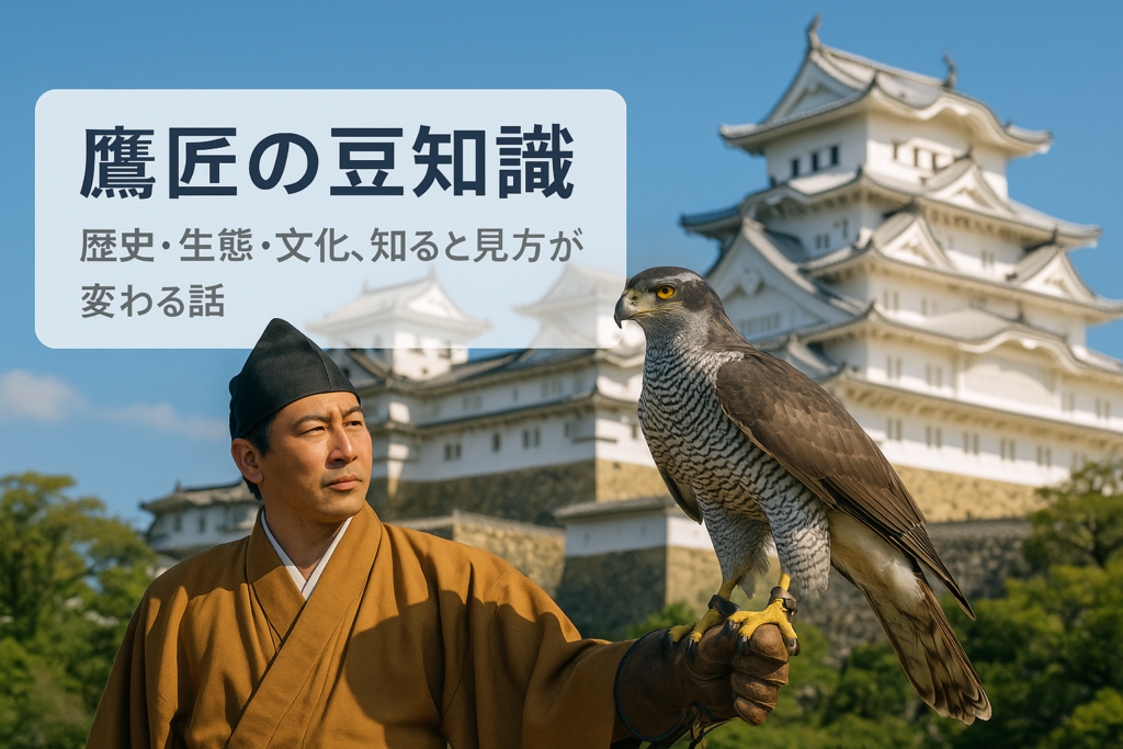 鷹匠の豆知識、知ると見方が変わる歴史・生態・文化の話