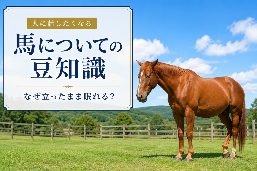馬の豆知識